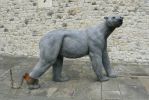 PICTURES/Tower of London/t_Zoo Bear1.JPG